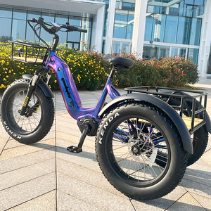 GEOBYKE Tricycle électrique à moteur central haute performance 250w, <span class=keywords><strong>3</strong></span> roues, vélo cargo électrique avec <span class=keywords><strong>Shimano</strong></span> <span class=keywords><strong>Nexus</strong></span> 7 <span class=keywords><strong>vitesses</strong></span> - Product Image 3