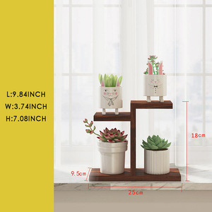 Présentoir d'<span class=keywords><strong>intérieur</strong></span> à 3 niveaux pour plantes succulentes, petit <span class=keywords><strong>support</strong></span> en <span class=keywords><strong>bois</strong></span> pour étagère, fenêtre - Product Image 3