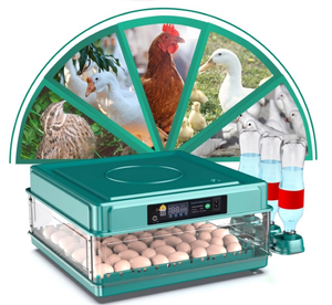 卵孵化器 工場直送 競争力のある価格 大量購入対応 - Product Image 5