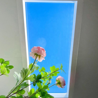 Maison intelligente Contrôle Wifi Led artificielle Lumière du jour naturelle Lumière du ciel bleu Panneau de plafond à LED Puits de lumière artificielle
