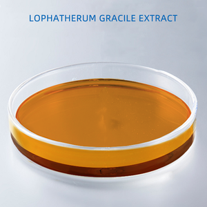 Ekstrak Tumbuhan yang Digunakan dalam Kosmetik LOPHATHERUM GRACILE <span class=keywords><strong>EXTRACT</strong></span> - Product Image 2