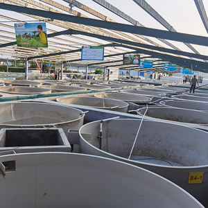 ฟาร์มกุ้ง โรงเพาะฟักปลานิล ระบบ RAS อุปกรณ์เลี้ยงปลา ตู้ฟักไข่ปลา ฟาร์มเพาะเลี้ยงสัตว์น้ำ ระบบเพาะเลี้ยงสัตว์น้ำแบบ RAS - Product Image 6