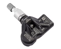 Hochwertige OE-Nr. 5Q0907275B für Volkswagen up T-Cross Polo Touran L Touareg Teramont Tiguan L Reifendrucksensor