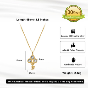 RINNTIN BAPN66 Gioielli Minimalisti, Collana in <span class=keywords><strong>Argento</strong></span> Sterling 925 con <span class=keywords><strong>Ciondolo</strong></span> a <span class=keywords><strong>Chiave</strong></span> e Diamante, Placcata in Oro 14K per Donne - Product Image 2