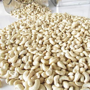 NUEZ DE ANACARDO W320 W240 WS LP SP LWP DW de Vietnam, Proveedor Principal de Granos de Anacardo (W.S 0084989322607 Linda Tran) - Product Image 1