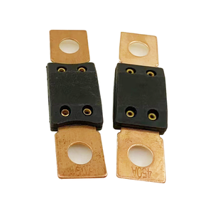 32V mega-cầu Chì Ô Tô Cầu Chì 30A 40A 50A 60A 70A 80A 100A 120A 125A 150A 175A 180A 200A 225a 500A 32vdc Mega bu lông xe cầu chì - Product Image 6