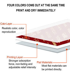 Impresora de Fundas para Teléfonos UV de Inyección de Tinta A3, Larga Vida Útil, Máquina de Impresión de Ancho de Acero Inoxidable - Product Image 5