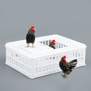 Cage de transport de volaille en plastique PP de couleur orange caisse de transport de poulet vivant pour canards pigeons lapins - Product Image 6