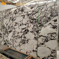 Calacatta Viola Marbre Poli Dalle Pourpre Veine pour Cuisine Comptoir Carrelage Panneau Mural Escalier