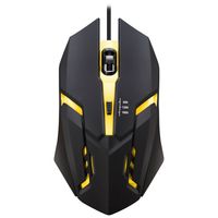 Souris de jeu filaire USB pour ordinateur portable, souris de jeu RGB, souris ergonomique optique pour joueurs, souris d'ordinateur