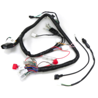 Kit de câbles électriques personnalisés pour ordinateur, faisceau de câbles avec isolation en PVC, conducteur en cuivre étamé 12V, longueur sur mesure