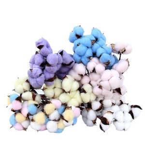 Wholesale DIY Dry <strong>Cotton</strong> Plant Bouquet Preserved <strong>Cotton</strong> Branches Natural Dried <strong>Cotton</strong> Flowers <strong>Stems</strong> - Product Image 3