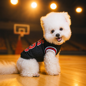 Summer <b>clothes</b> for dogs, Teddy vest, Bichon Frise summer <b>clothes</b>, small dog pets, Pomeranian, puppy, <b>cat</b>, breathable and - Product Image 1
