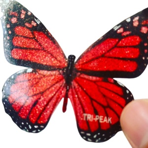 Jinlong cao cấp truyền nhiệt mềm 1kg keo hotmelt dính nóng chảy dtf bột cho máy in dtf in ấn in hiển thị birmingham - Product Image 4