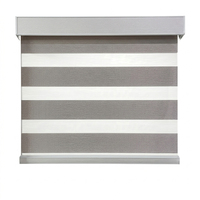 Persianas Enrollables Modernas con Tela Filtrante de Luz, Tipo Zebra, para Decoración de Sala de Estar y Dormitorio