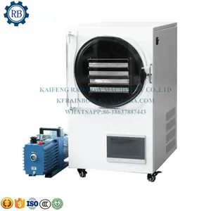 Cold freeze dryer freeze dryer with oil free pump commercial freeze drying machine