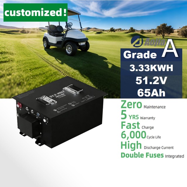 Aojia Customizable LiFePO4 51.2V 65Ah 3.33kWh Golf Cart Battery Metal Shell IP65 Waterproof CE Certified 6000 Cycles 5-Year