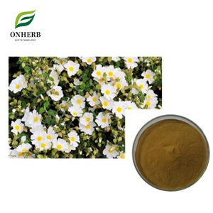 Suministro de Fábrica, Polvo de <span class=keywords><strong>Cistus</strong></span> Incanus/Rosa de Roca Natural, Extracto Orgánico de <span class=keywords><strong>Cistus</strong></span> Creticus 10:1, 20% Polifenoles - Product Image 1