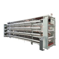 Cage à batterie automatique moderne de type H pour poules pondeuses, système d'élevage avicole haute capacité