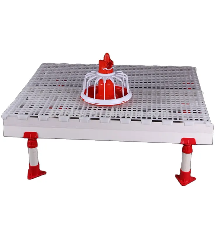 broiler poultry husbandry equipment or slatted floor for poultry