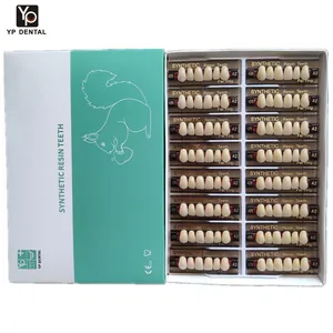 Fábrica Super Dental Dental Composto Acrílico Resina dentes Acrílico Artificial Dentes para Dentadura