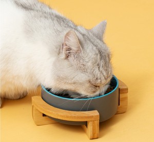 Jouets à mâcher écologiques pour chats et chiens, protège la colonne cervicale, grand bol pour animaux <span class=keywords><strong>de</strong></span> compagnie, fournitures pour animaux - Product Image 3