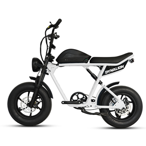48V 1000W Power China Cheap Full Suspension Retro Vintage <strong>E</strong> <strong>Bike</strong> Ebike Dirt Mountain Fat Tire Bicycle Electric <strong>Bike</strong> - Product Image 4