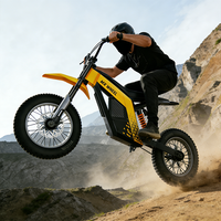 Vélo électrique tout-terrain MX-E2 – Entrepôt UE, livraison directe, vélo à pneus larges, cyclomoteur, E-bike MX-E2
