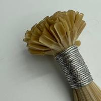 Nouvelle Arrivée 2026 Extensions de Cheveux à Pointe en U 100% Cheveux Humains Russes Vierges Bruts Remy Teints Longs de Luxe avec Cuticules Alignées et Fixation Kératine