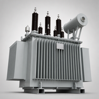 HDT S13-M 100kVA-315kVA Üç Fazlı Yağlı Tip Dağıtım Trafosu 10kV 110kV 220kV NX3 IEC OEM ODM Orta Doğu CE