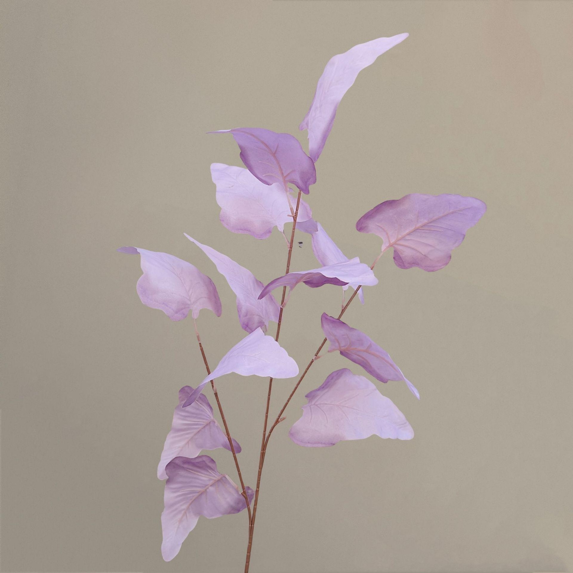 Feuille de fer à cheval à haute branche-violet-97cm