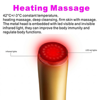 Appareil de beauté facial multifonctionnel OEM/ODM pour usine, marque privée, masseur anti-âge portable pour les yeux et le visage, soins de la peau à domicile