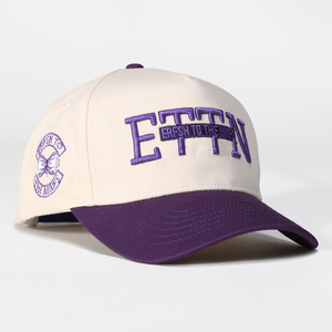 Casquette de baseball personnalisée en broderie 3D Lanhai, casquette de sport d'extérieur, vente chaude, casquette de baseball en coton brodée pour hommes - Product Image 4