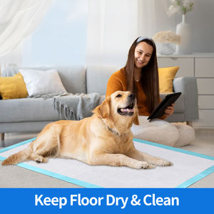 Almohadillas de Entrenamiento de Agilidad para Mascotas Pequeñas, Extra Grandes, Suaves, Desechables, Impermeables, Transpirables, Impresas, de Bambú Japonés - Product Image 2