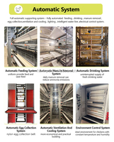 Poulailler moderne de type H pour 10 000 poules pondeuses, système d'élevage de poulets, élimination du fumier, collecte des œufs