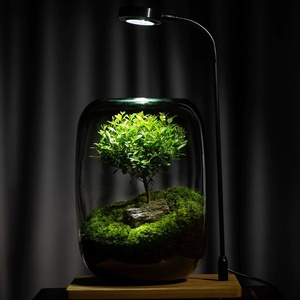 T-439 albero della vita moderna bottiglia ecologica Desktop Micro-paesaggio vaso di vetro trasparente per la coltivazione di <span class=keywords><strong>piante</strong></span> verdi - Product Image 4