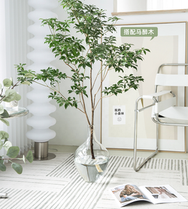 Vendita calda vaso di vetro potbelly acqua che solleva vaso di composizione floreale di grandi dimensioni vaso di vetro ornamento da pavimento semplice - Product Image 2