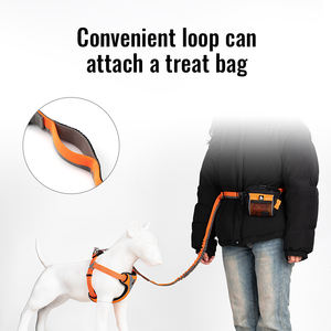 Truelove, venta al por mayor, correa elástica ajustable para caminar con manos libres, correa de nailon suave para perros, correa de cuerda de plomo para mascotas, Correa táctica de lujo para perros - Product Image 4