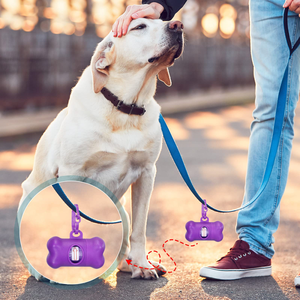 Distributeur de sacs à déjections canines, boîte de rangement pour sacs à déjections, outil de ramassage des excréments pour animaux de compagnie, accessoires pour promener le chien - Product Image 2
