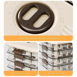 Three-Layer Plastic Dumplings Food Storage Container With <b>Sealed</b> Snap Closure For Kitchen Organization Minimalist Design - Product Image 3