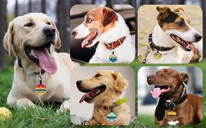 Etiquetas de Identificación Personalizadas de Silicona para Perros y Gatos - Etiqueta de Identificación Duradera, Impermeable y Elegante para Perros con Grabado Gratuito - Product Image 5