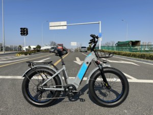 <span class=keywords><strong>Vélo</strong></span> <span class=keywords><strong>électrique</strong></span> pour femmes <span class=keywords><strong>de</strong></span> 24 pouces fabriqué en Chine, batterie cachée 48V 15Ah, <span class=keywords><strong>vélo</strong></span> <span class=keywords><strong>de</strong></span> ville à cadre bas, moteur Bafang, pneus larges - Product Image 6