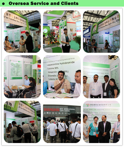 Fornecimento De Fábrica Natural Cenoura Fibra Em Pó Orgânico Cenoura Em Pó - Product Image 3