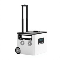 Batterie externe portable 220V pour l'extérieur, format valise, haute puissance, pour le voyage, le camping et les marchés nocturnes, stockage d'énergie dédié