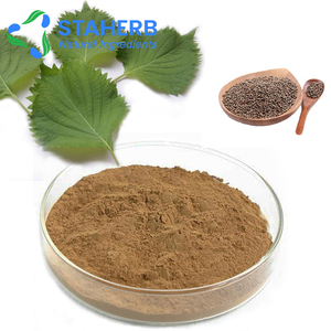 Frutescens <span class=keywords><strong>Basilic</strong></span> Purple Frutescens Seed Perila Fructus Perillae Perilla Seeds Perilla Leaf Powder Extract Oil - Product Image 5