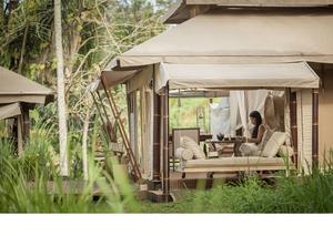 Indian Exporter's Modern White Mughal <b>Tent</b> Design Big Size Canvas Decorations for Weddings Parties Customized New Arrival - Product Image 2