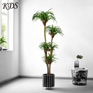 Simular plantas verdes sensación avanzada dragón sangre árbol Tropical Pseudo plantas Agave plantas en maceta Sisal cáñamo <span class=keywords><strong>Cola</strong></span> <span class=keywords><strong>de</strong></span> <span class=keywords><strong>Caballo</strong></span> hierro - Product Image 1
