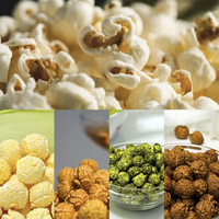 Machine à Popcorn Industrielle Entièrement Automatique pour Champignons, Différentes Saveurs Colorées, Ligne de Production de Popcorn