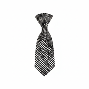 Silk <b>Tie</b>, Necktie, <b>Neck</b> <b>Tie</b>, Corbata, Gravate, Krawatte, Cravatta, Fashion <b>Tie</b> - Product Image 2
