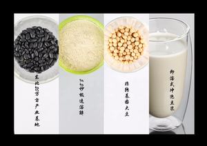 非遺伝子組み換え大豆粉 純粋大豆粉 - Product Image 4